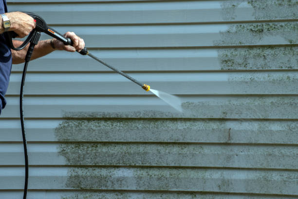 Best Gutter Cleaning  in Ishpeng, MI