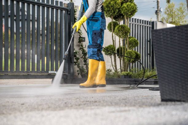 Best House Exterior Washing  in Ishpeng, MI